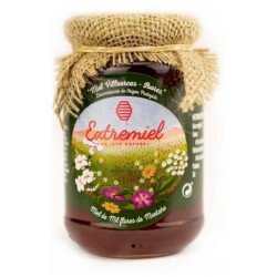 miel-multiflora-de-montana-do-villuercas-ibores-extremiel-500-kg